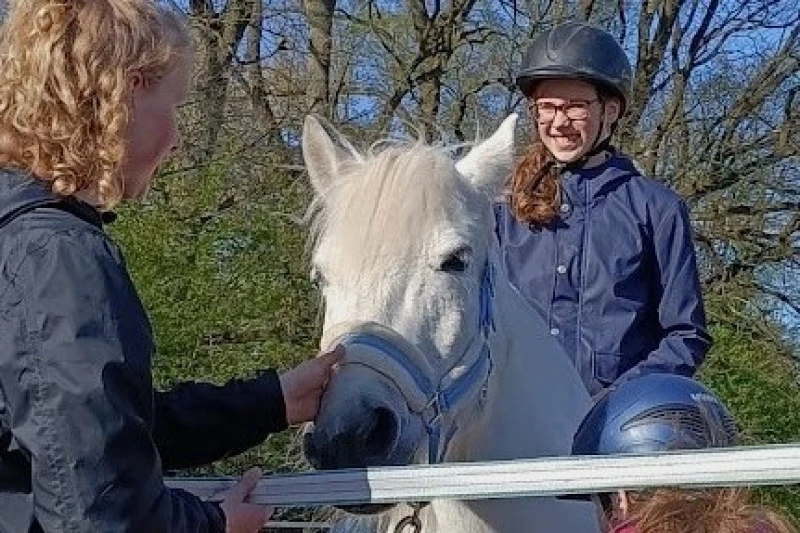 Fachkraft-Ausbildung Reitpädagogik Fachkraft-Ausbildung Reitpädagogik