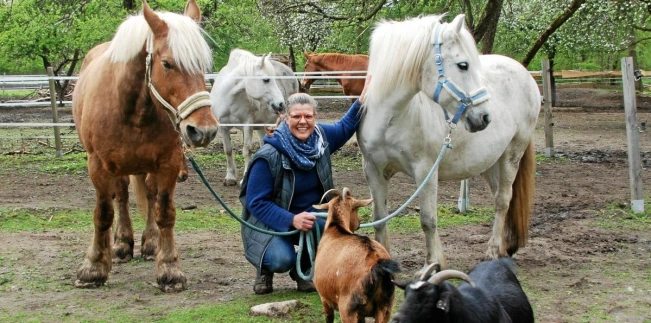 Verena mit Pferden