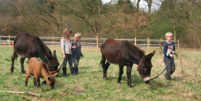 TierSpielGruppen