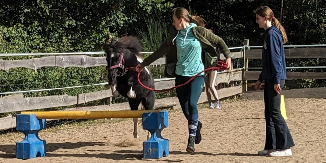 Reitpädagogik