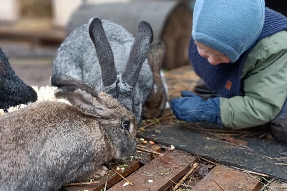 Kaninchen mit Kind
