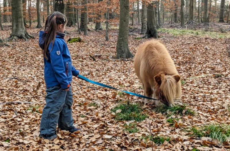 Charly im Wald