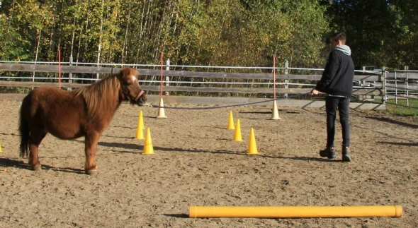 Kinder- & Jugendcoaching