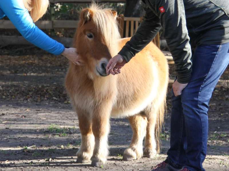 Charly mit Eltern